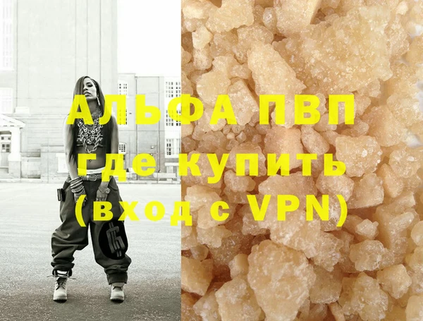 крисы Абаза